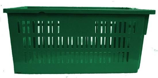 Picture of Ventilated, Food Grade Container 24" x 16" x 7.1", Green